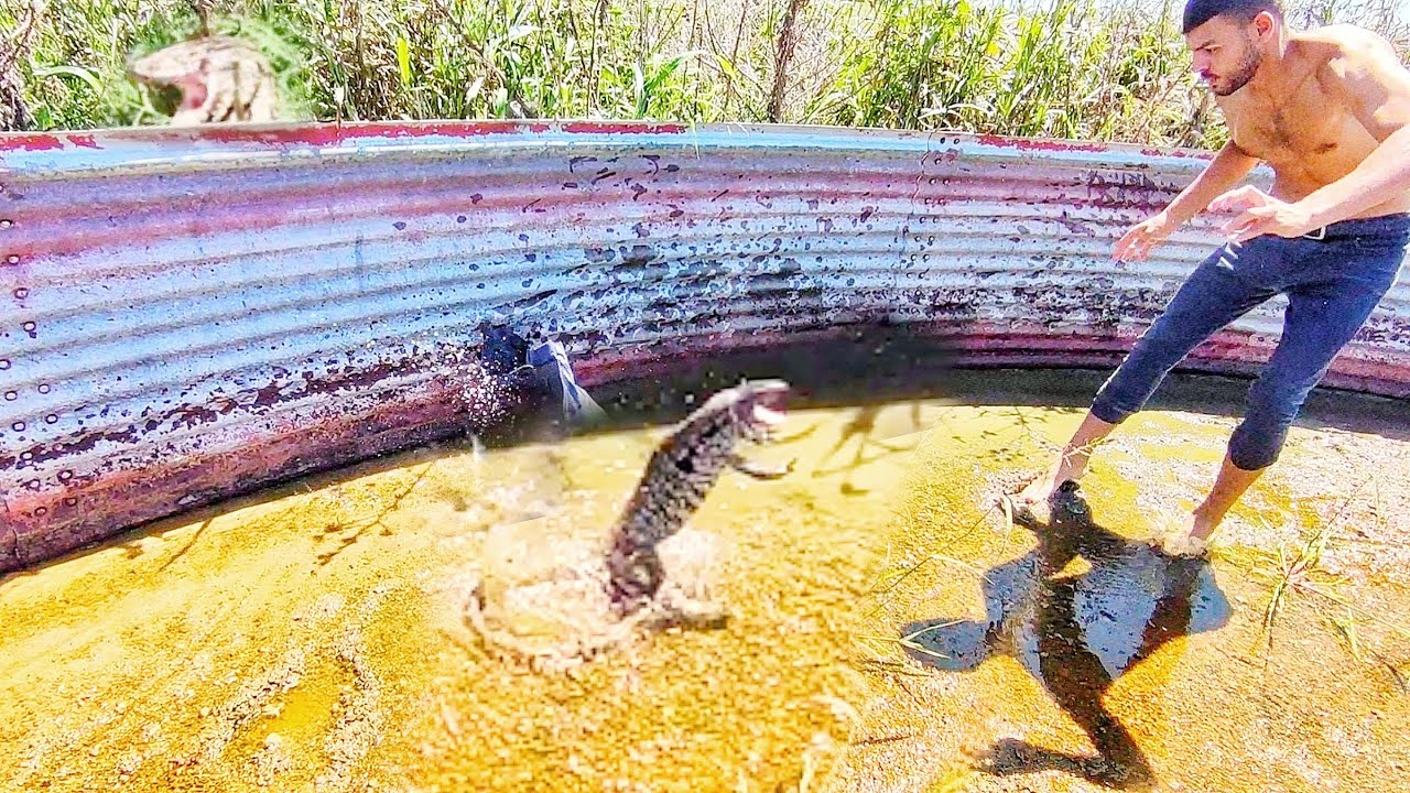 CASI ME MUERDE! mira lo que pasó🦎