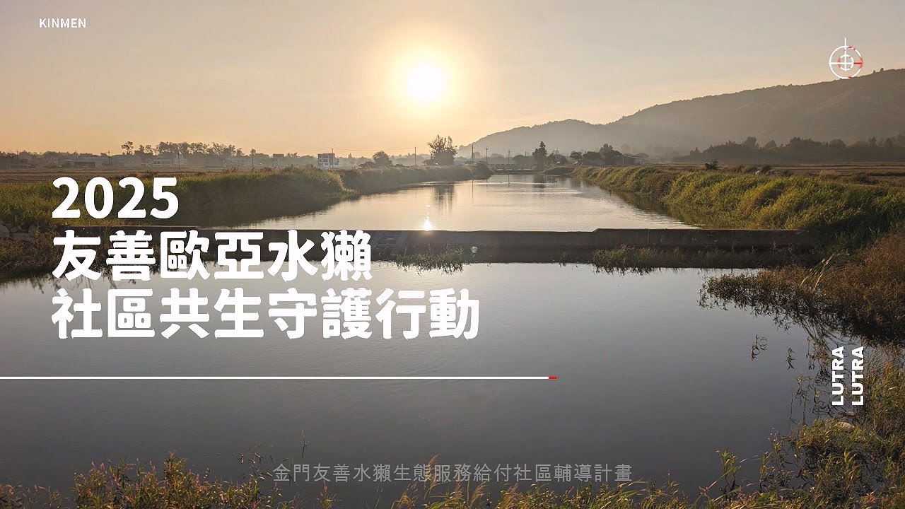 2025年【生態服務給付】幼水獺現蹤紀錄 | 友善歐亞水獺 × 金門社區共生的守護行動