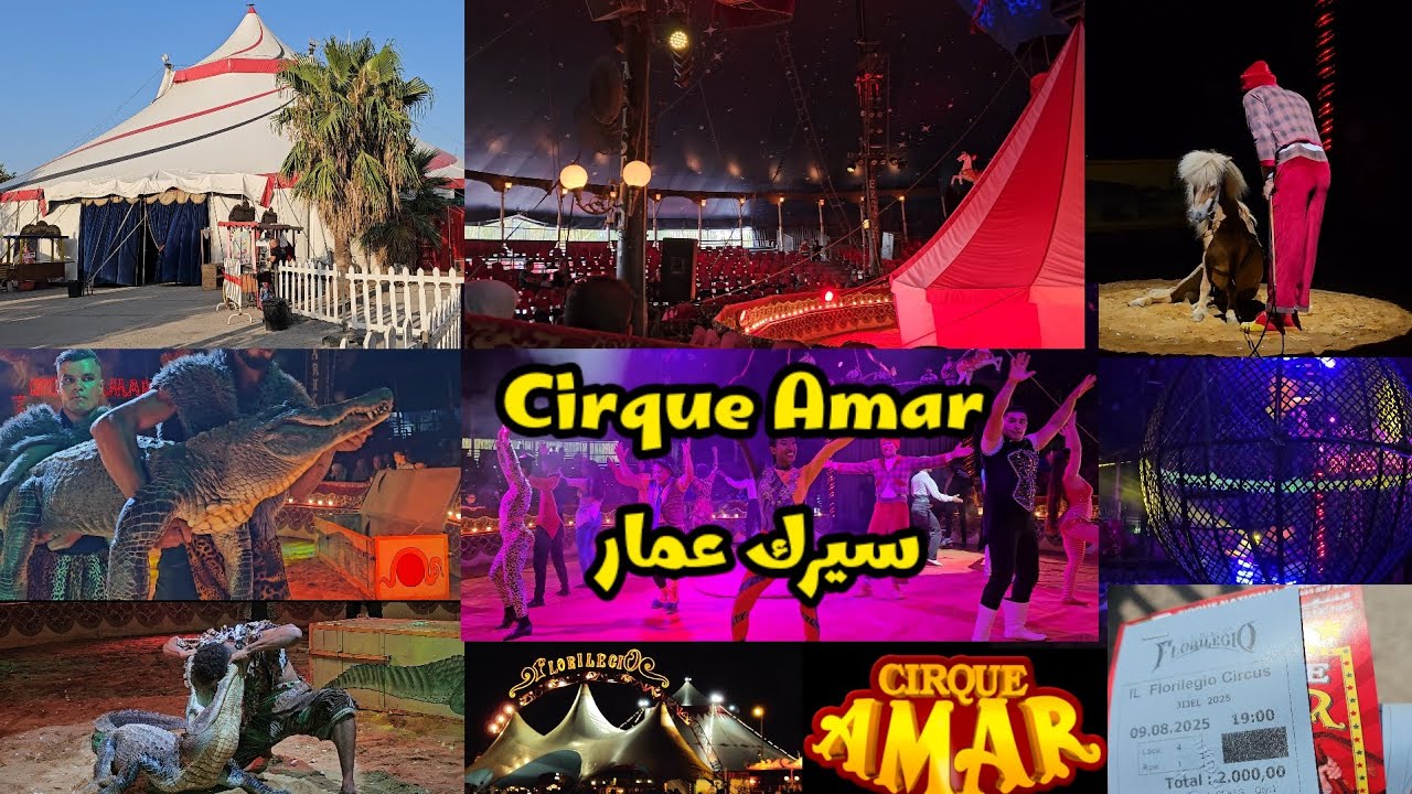 سيرك عمار - ولاية جيجل - Cirque Amar à Jijel 