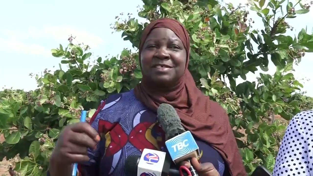 MADIWANI 20 KUTOKA KATAVI WATUA MTWARA KUJIFUNZA KILIMO CHA KOROSHO
