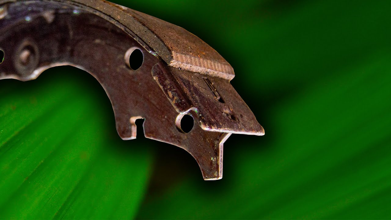 NEW TOOL IDEA FOR GARDEN (Tree Popper)