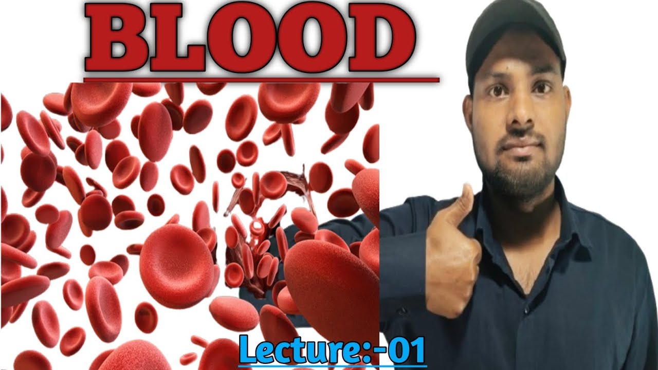 What is Blood and its functions #bio #knowledge #nursing #medicalstudent #medical #trending #blood 