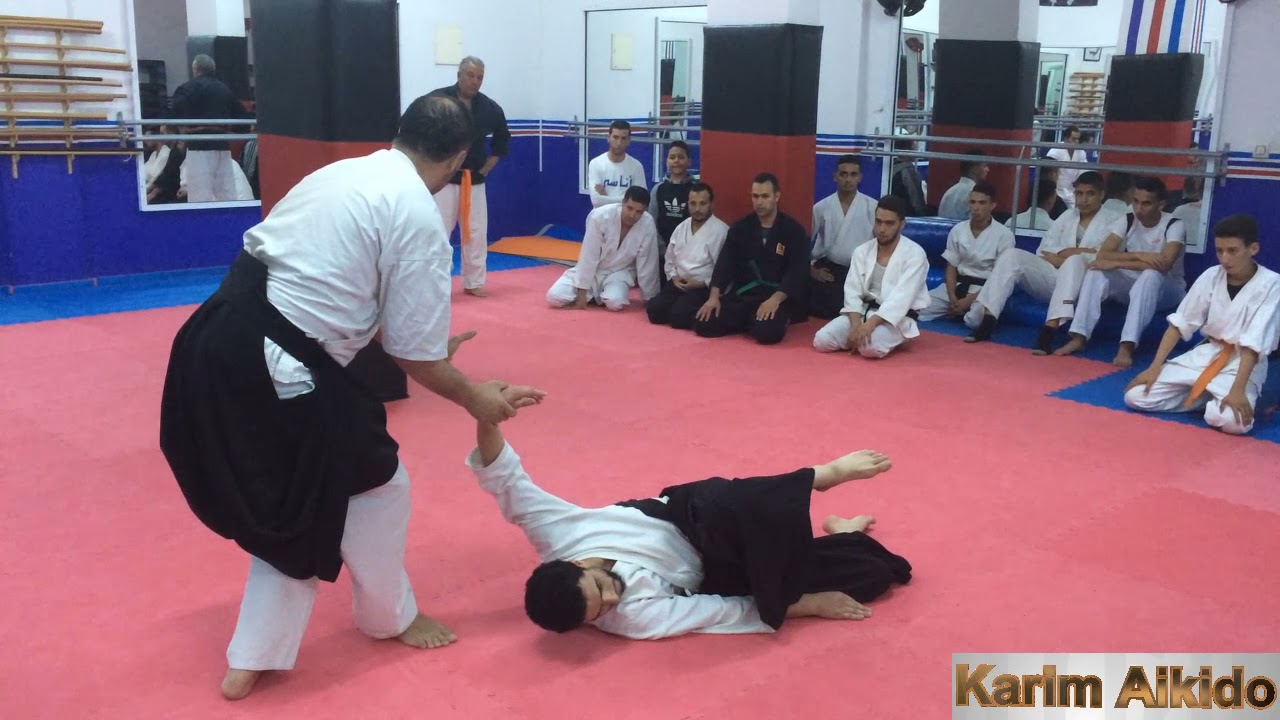 AIKIDO/ maître Said nouinou avec maître solaiman
