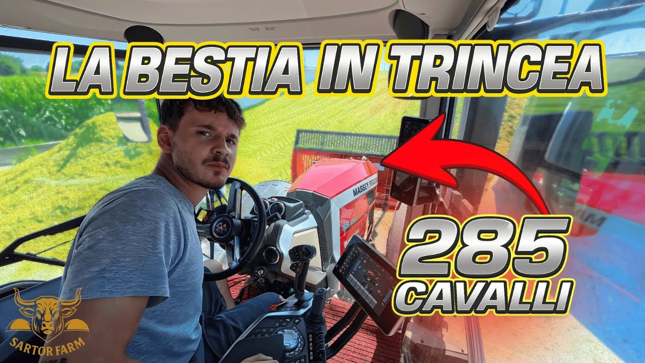 Spingiamo INSILATO ma QUALCOSA È ANDATO STORTO!?