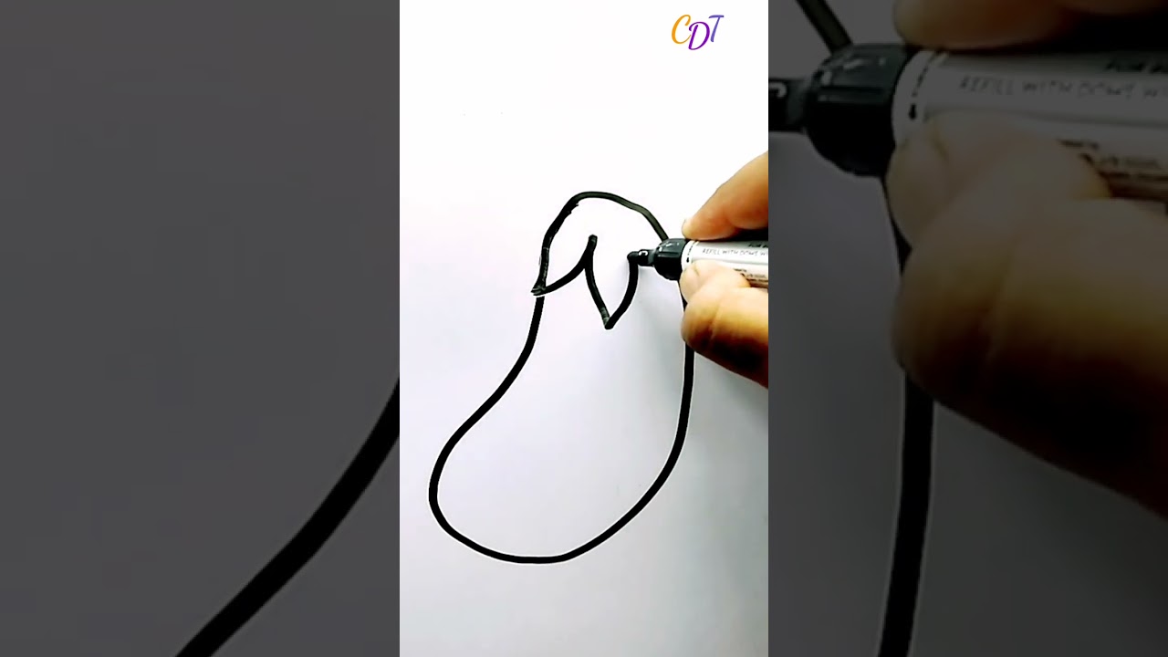 how to draw an eggplant | how to draw Brinjal #Brinjal #drawing #Eggplant