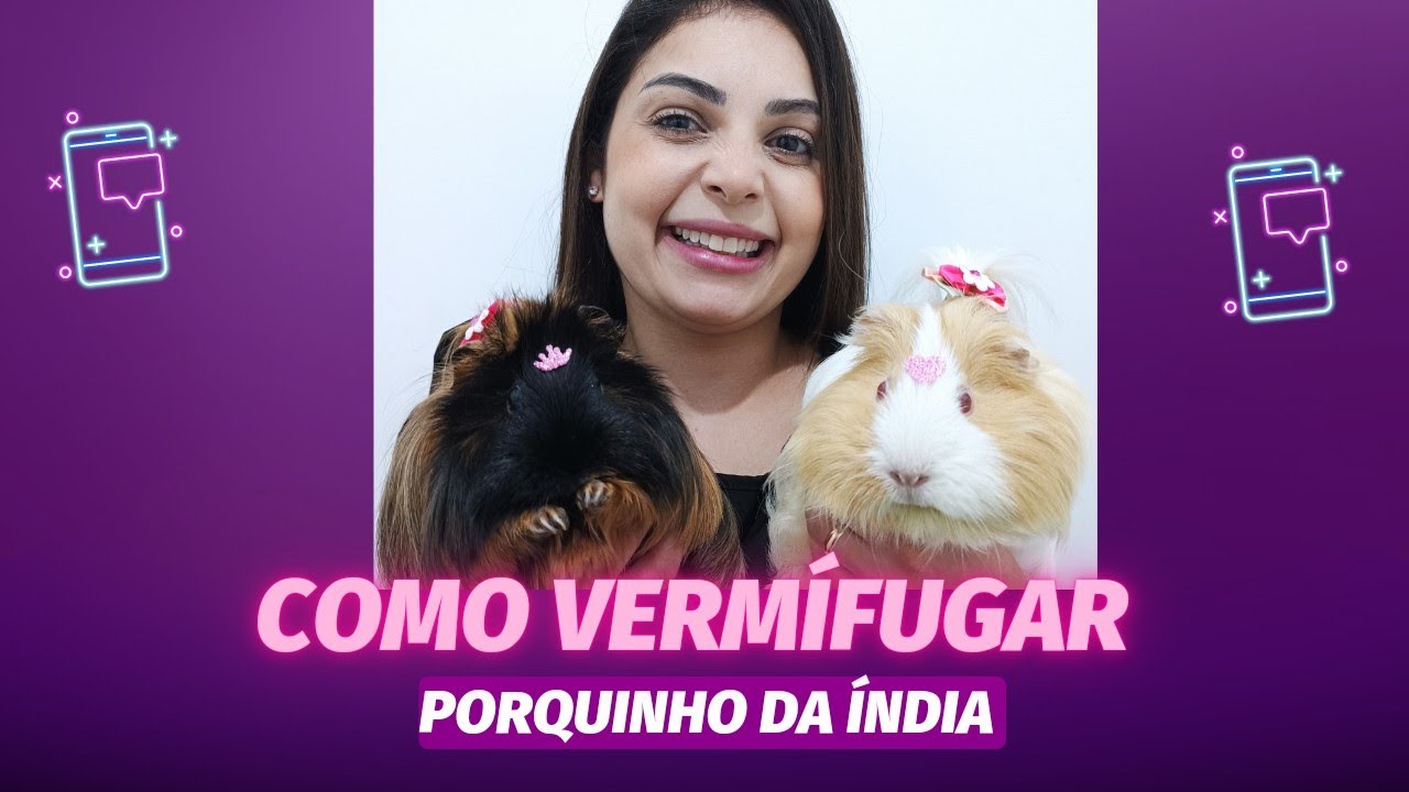 Como vermífugar seu Porquinho da Índia