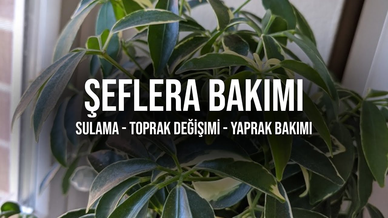 #CoşkunAkademi