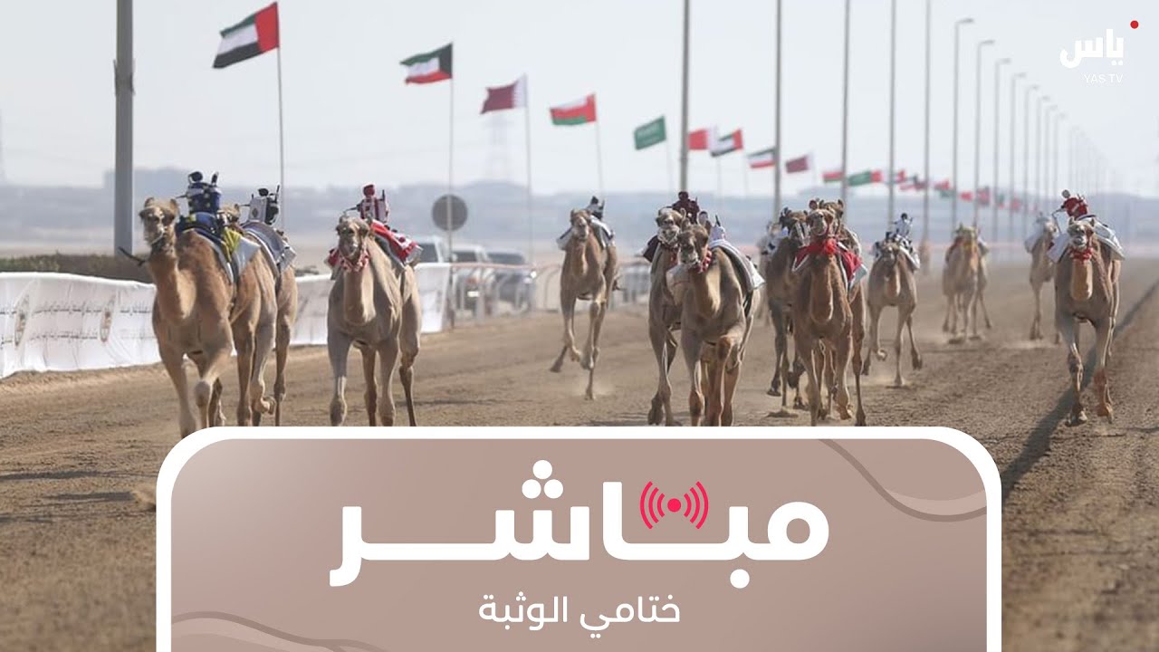 مباشر | تغطية ختامي الوثبة | 13 مايو 2025