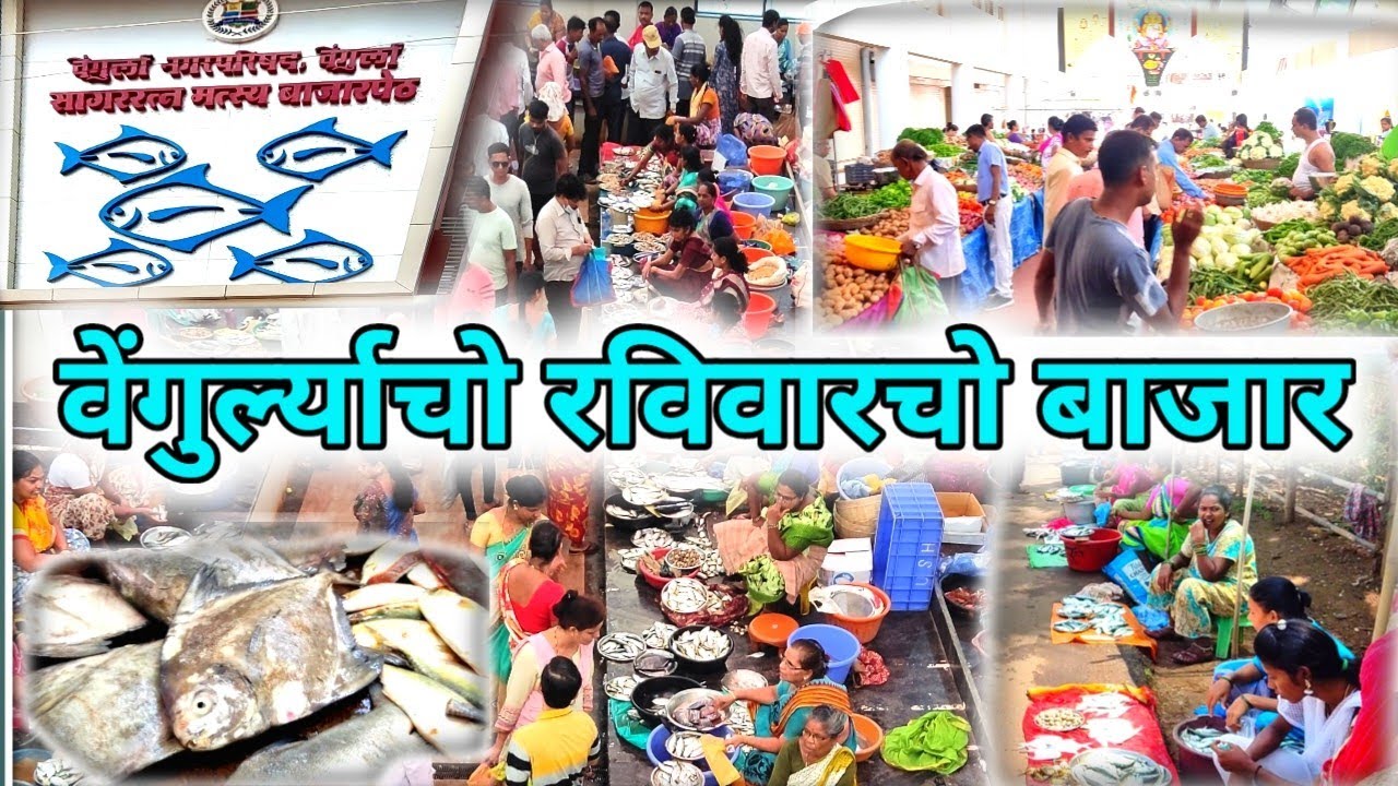 Vengurla bazar | Fish Market 😍 @devbagrockstar
