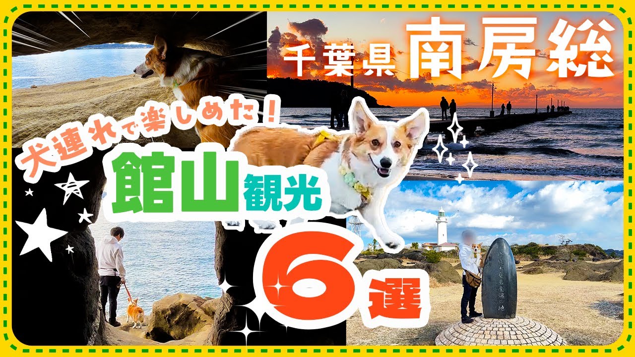 【犬連れ千葉・南房総観光】館山観光6選🌟千葉の最南端は美しくて犬連れでも楽しい！