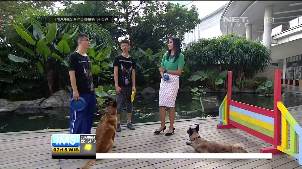 Talk Show Fun Smart Academy Part 1 IMS