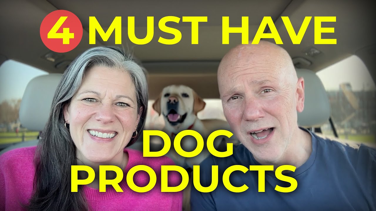 4 Must Have Dog Products for Dog Owners