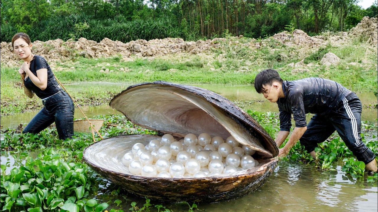 155 Days Harvest 100kg Pearls Worth Millions of Dollars to Sell | Strange Things Happened Overnight