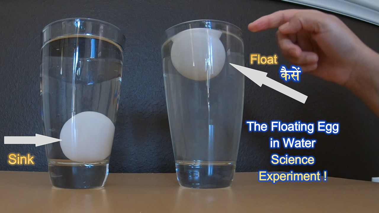 Floating egg Science Experiment in Hindi  | पानी में तैरता अंडा 🥚! Learn Density in a Fun Way !