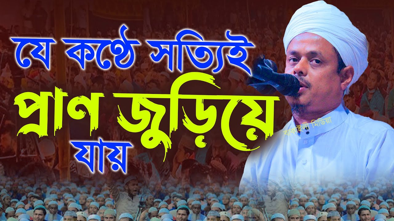 যে কন্ঠে সত্যিই প্রাণ জুড়িয়ে যায় মাওলানা সাইফুল্লাহ সাদী নতুন ওয়াজMawlana Saifullah Sadi Bangla waz