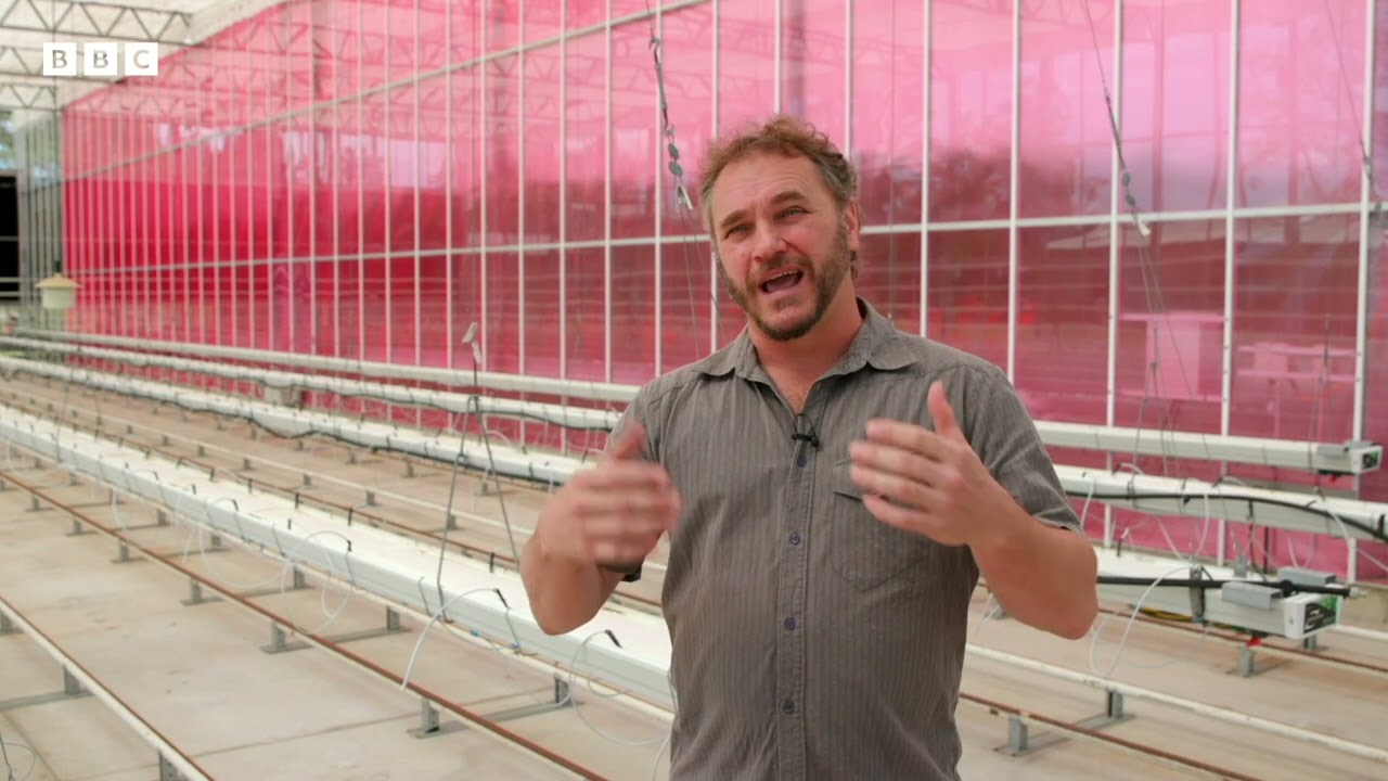 BBC Tech Now - Agritech Innovation by LLEAF