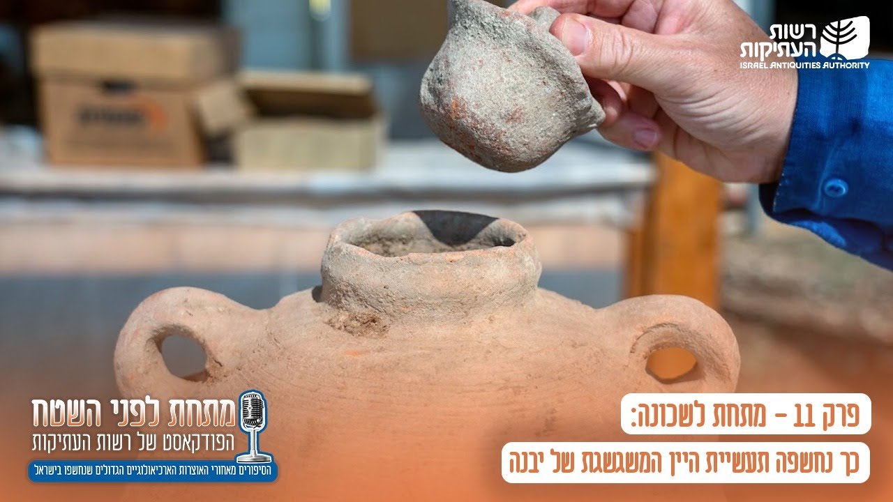 מתחת לשכונה: כך נחשפה תעשיית היין המשגשגת של יבנה