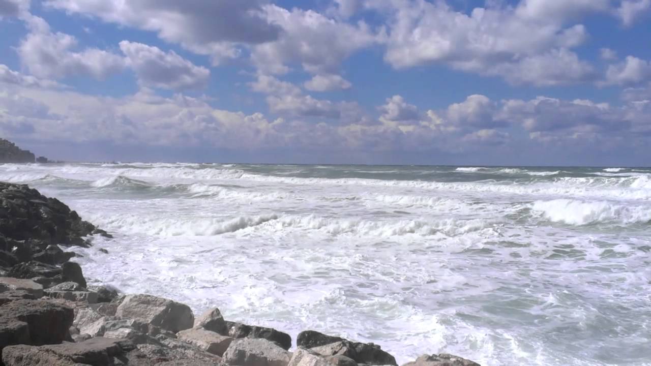 20/2/2015, Tel Aviv-Yafo