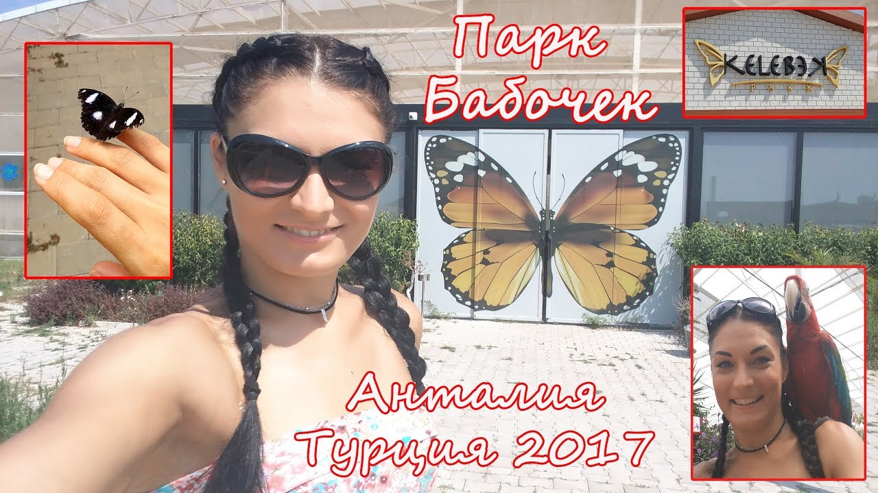 Парк бабочек | Kelebek park| Butterflies' park| Antalya Turkey 2017