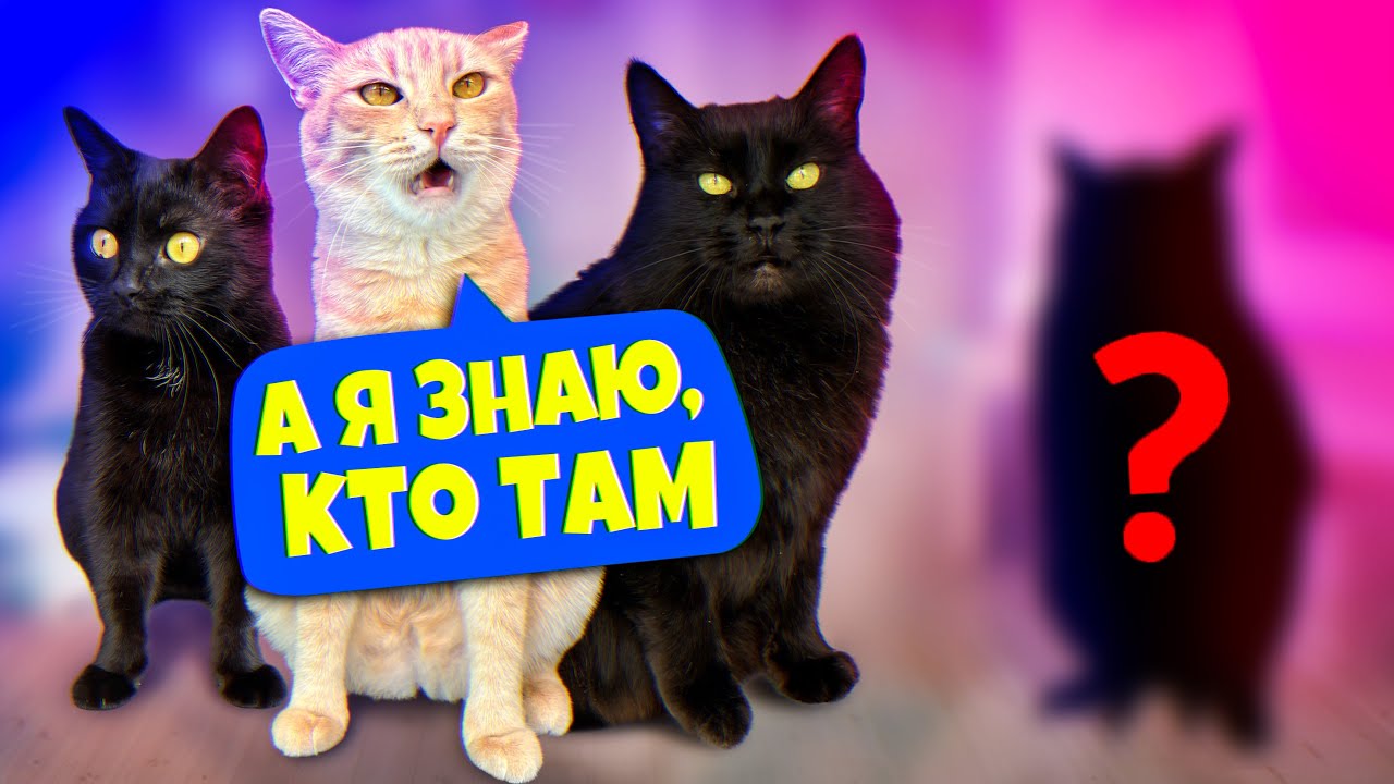 24 часа с 