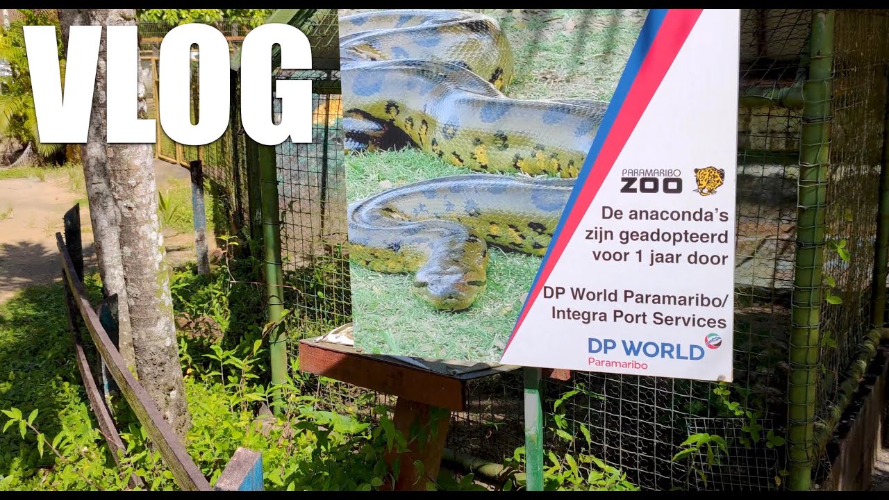 VLOG - Na lange tijd de Paramaribo Zoo bezocht