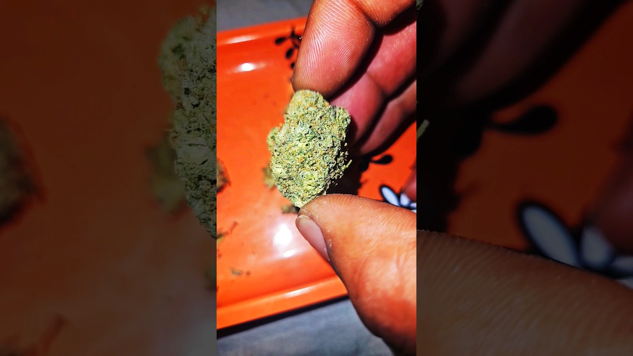 SKYWALKER OG by AERIZ!