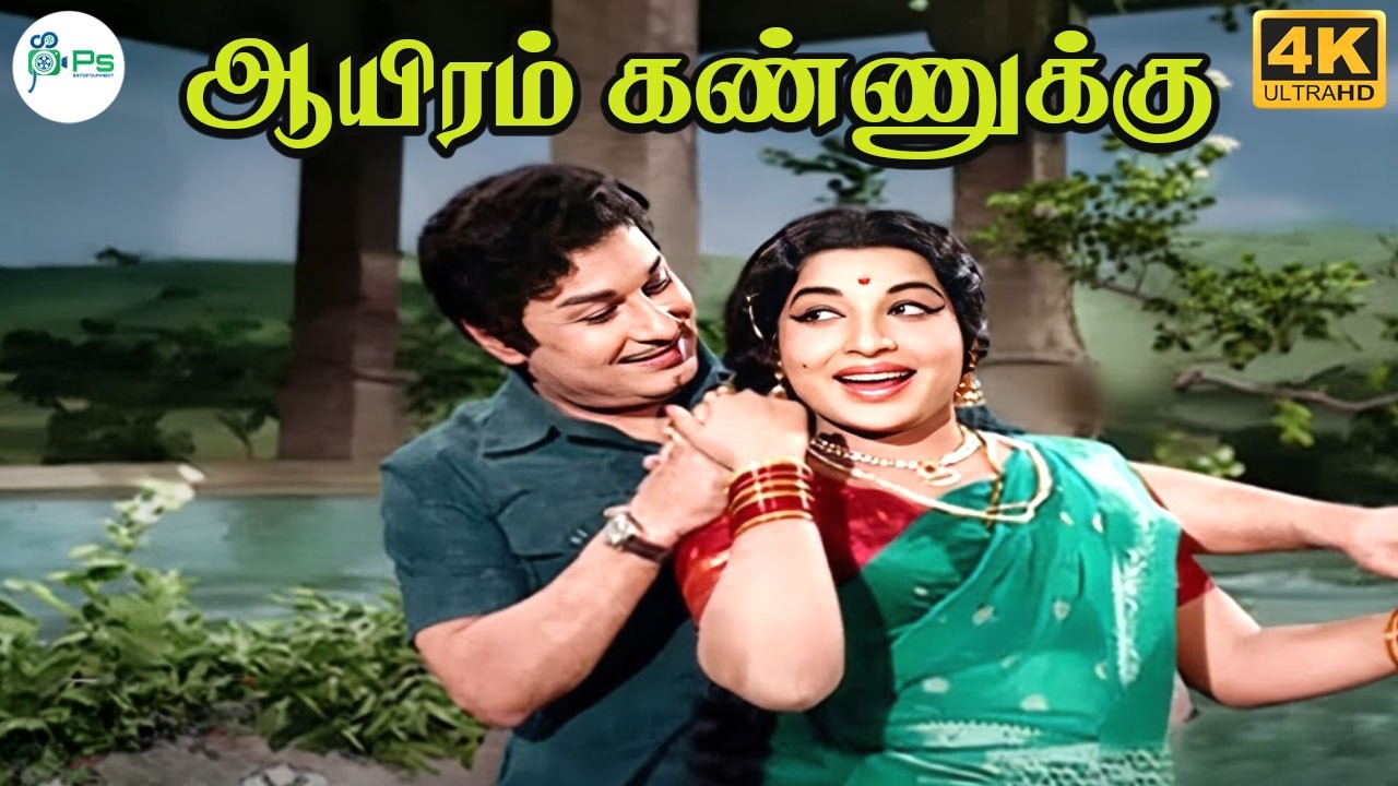 Aayiram Kannukku (Female) || ஆயிரம் கண்ணுக்கு (பெண்) || P. Susheela ||Love Melody H D Song