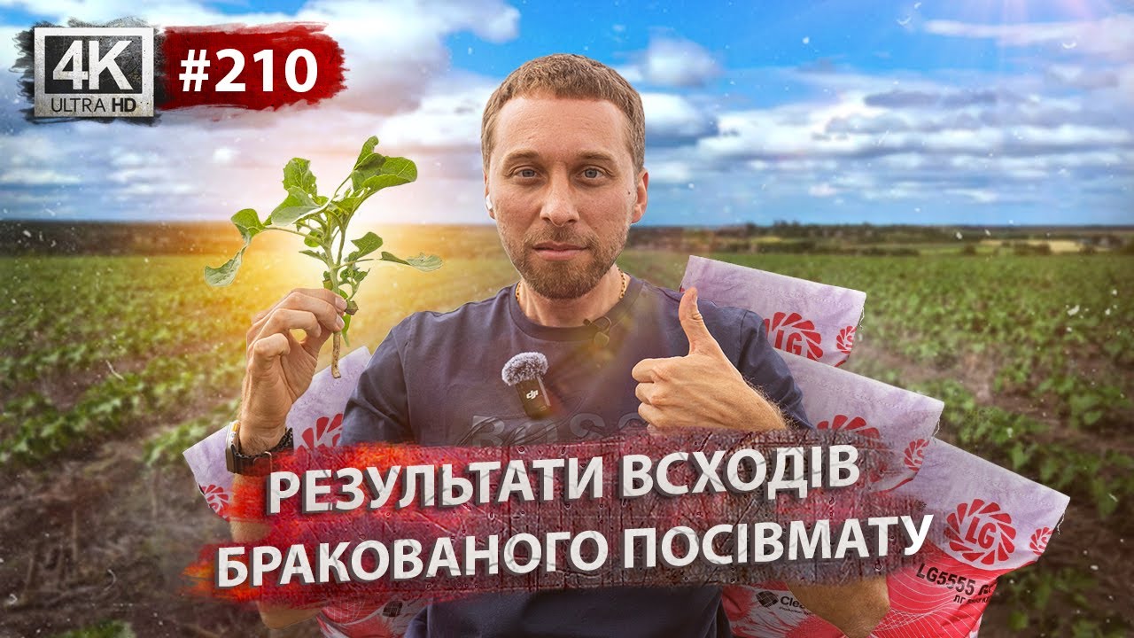 Розчарування в Лімагрейні: Реальність vs Обіцянки