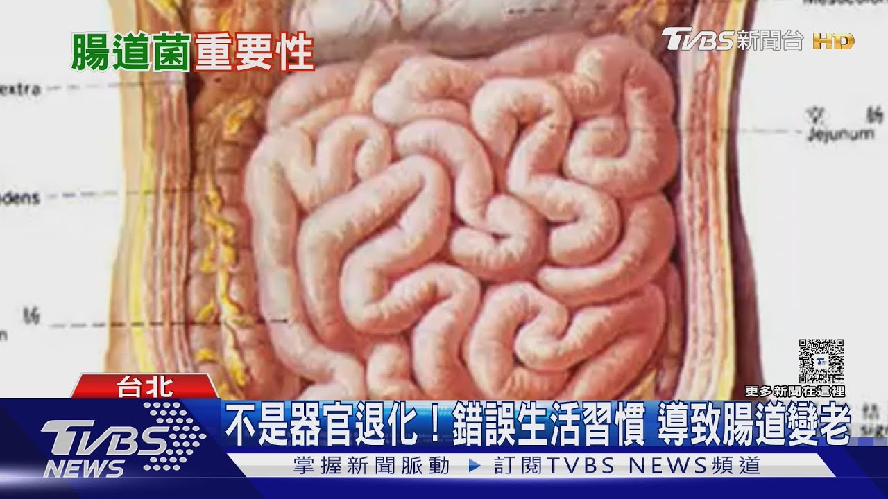 別只顧臉部保養! 腸道年輕才是真的抗老 醫授腸道自癒食譜｜十點不一樣20250703 @TVBSNEWS01