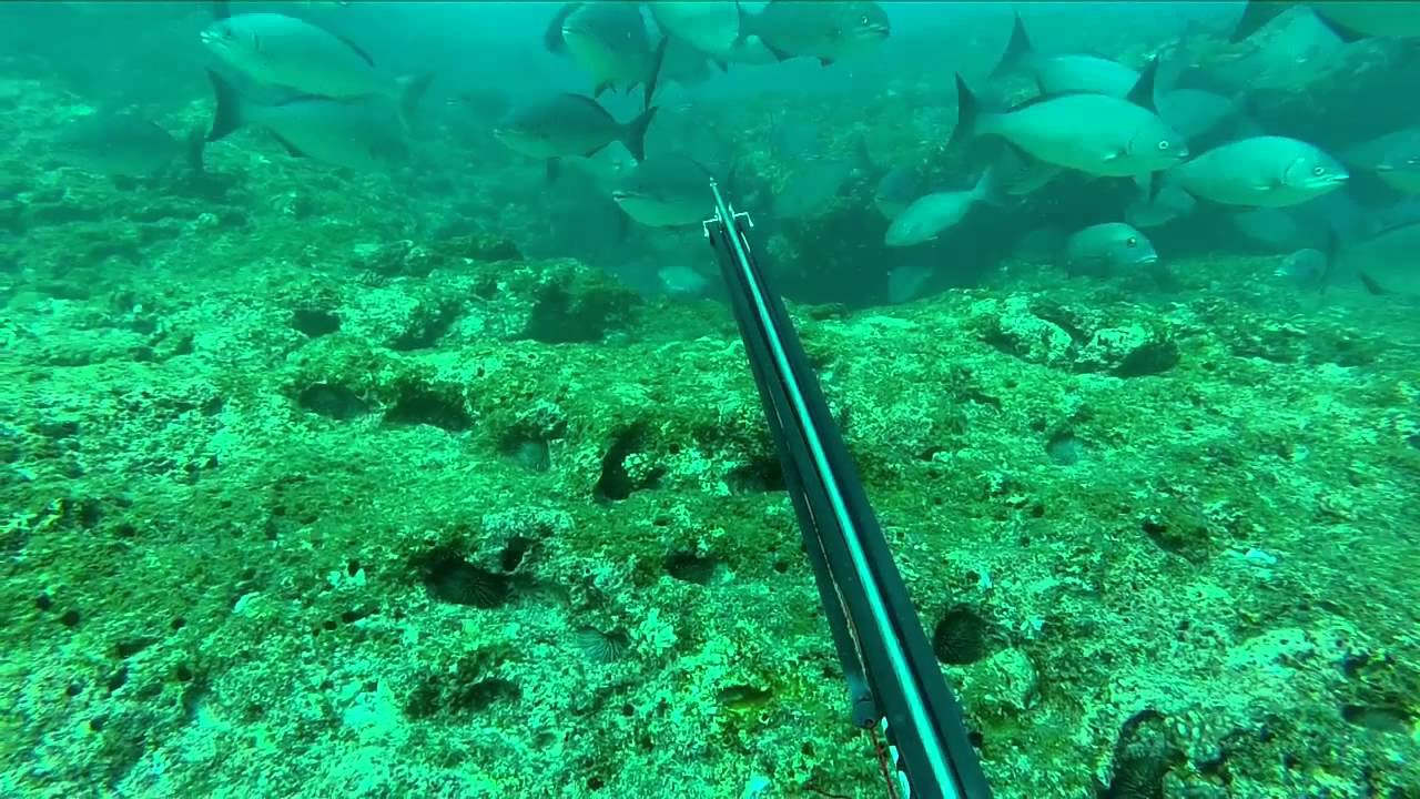 Spearfishing Australia - Reels n rollers