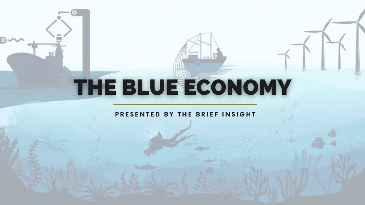 The Blue Economy: Unlocking Sustainable Ocean Development l The Brief Insight