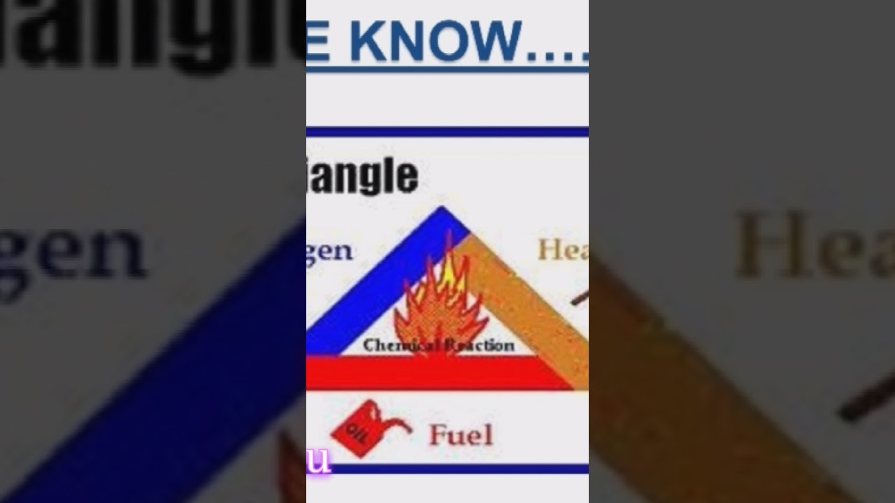 What is 