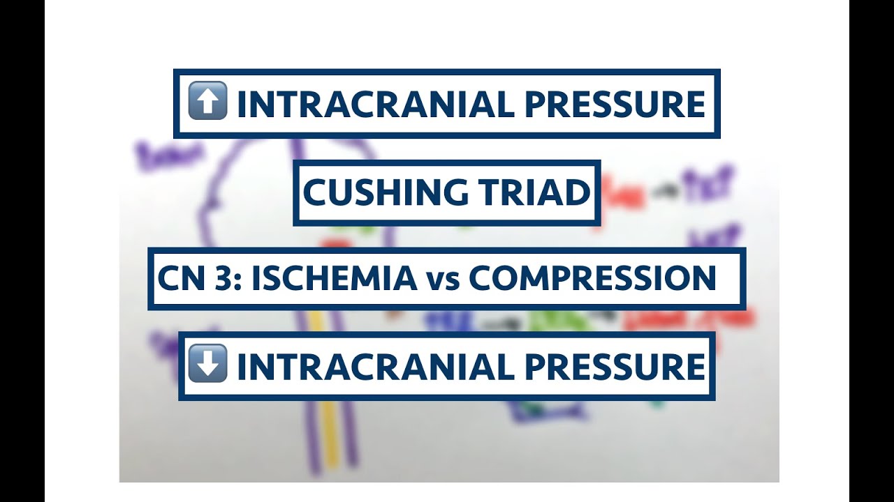 Intracranial Hypertension | Postural headache | Types of CN 3 lesions | Cushing Triad | USMLE | MCQs