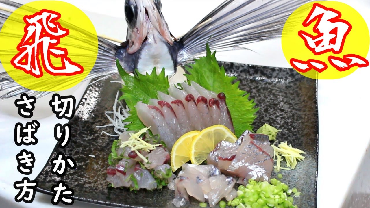 トビウオのさばき方と刺身の作り方・切り方/皮引き/骨抜き