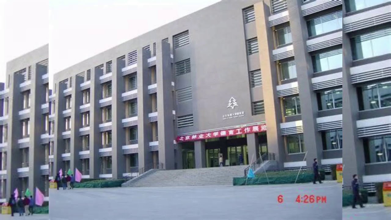 Beijing Forestry University International Standard Library 📚