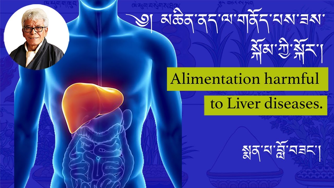 མཆིན་ནད་ལ་གནོད་པས་ཟས་སྐོམ་ཀྱི་སྐོར་། ༼མརྙན་པར་ ༢ ༽ Alimentation harmful to Liver diseases.