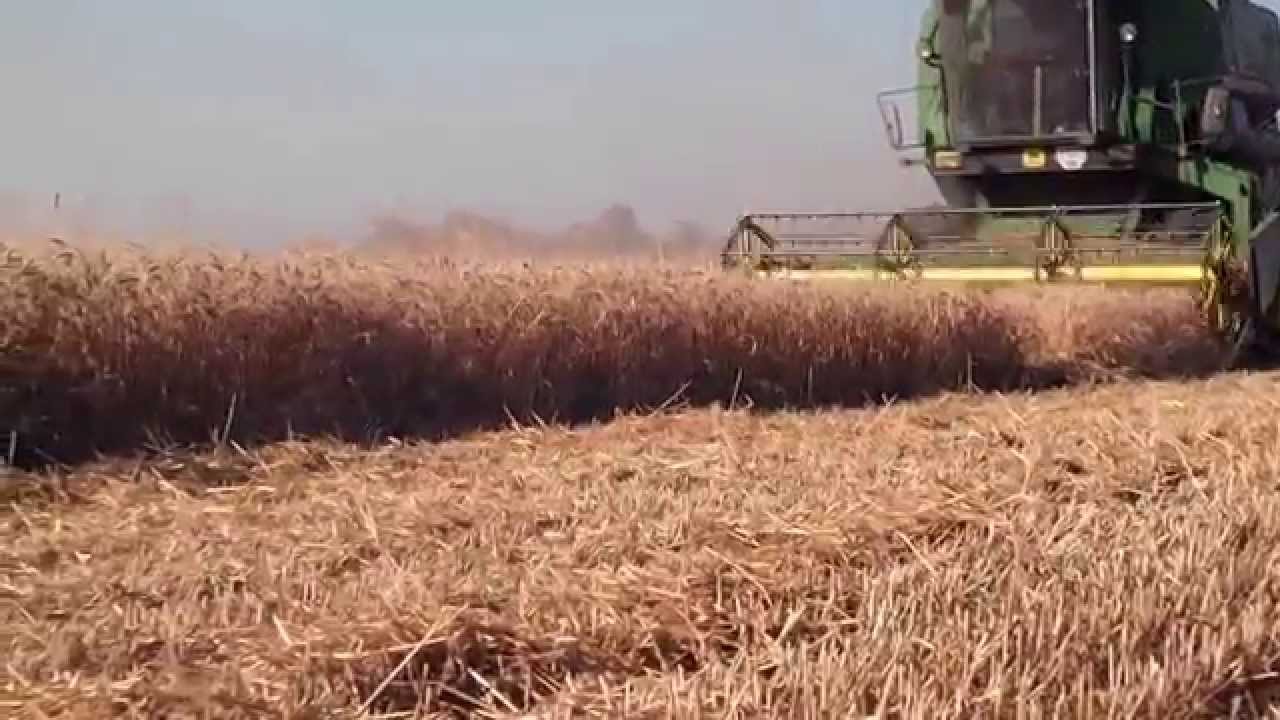 zniwa 2015 john deere 975 , jimma 240 , mtz 50 , t-40 =))