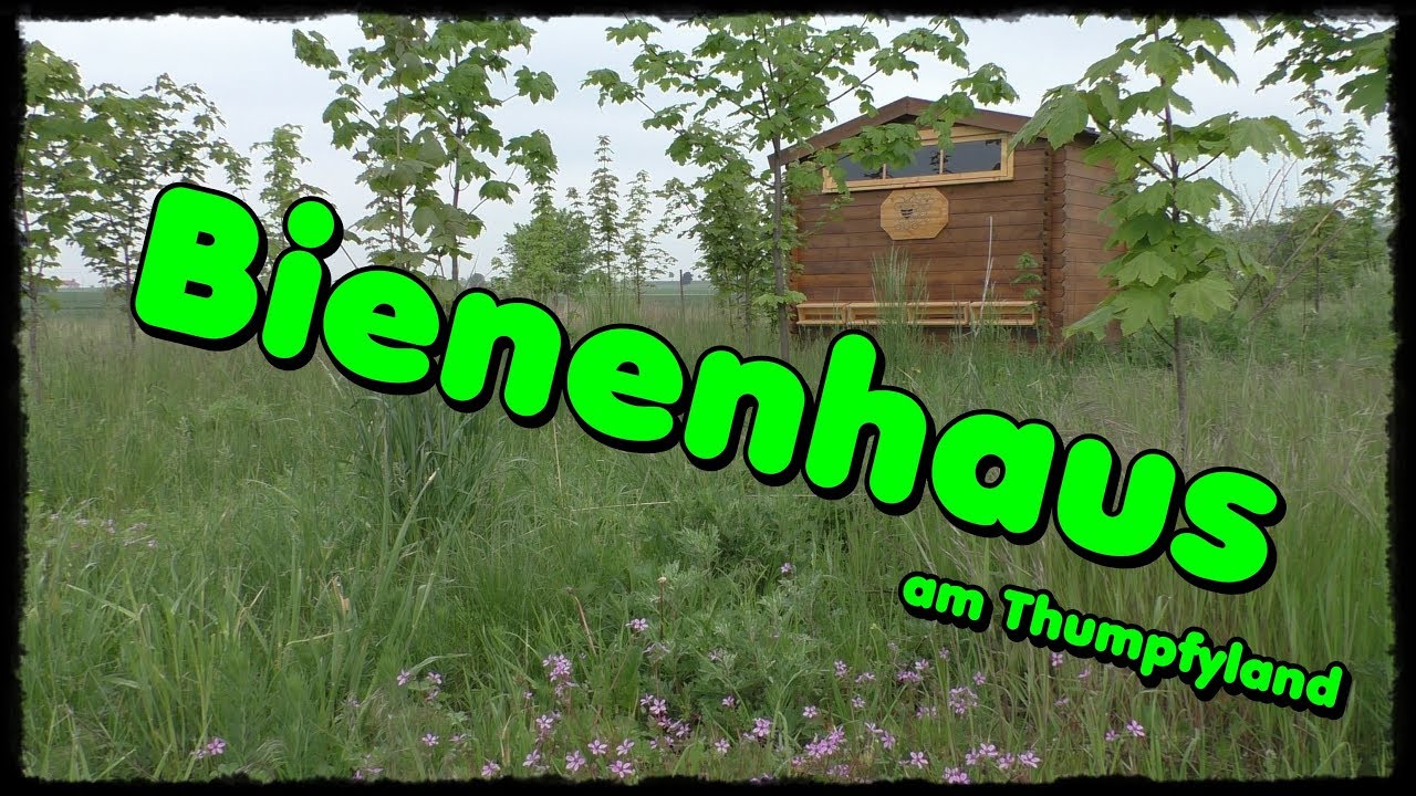 🍯 Bienenhaus am Thumpfyland 🐝BEE Welcome 🌻