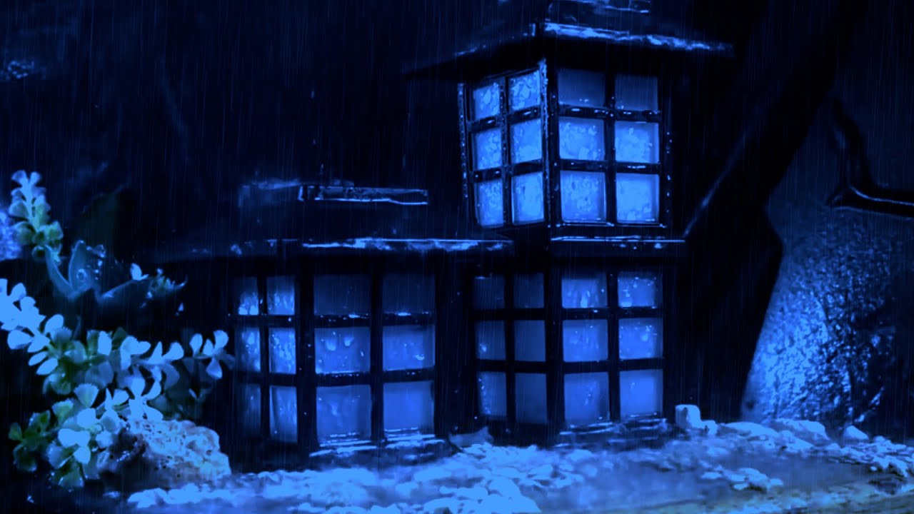 8 Hours of Cozy Rain Falling on a Quiet House | Deep Rain Sounds for Sleep & Relaxation