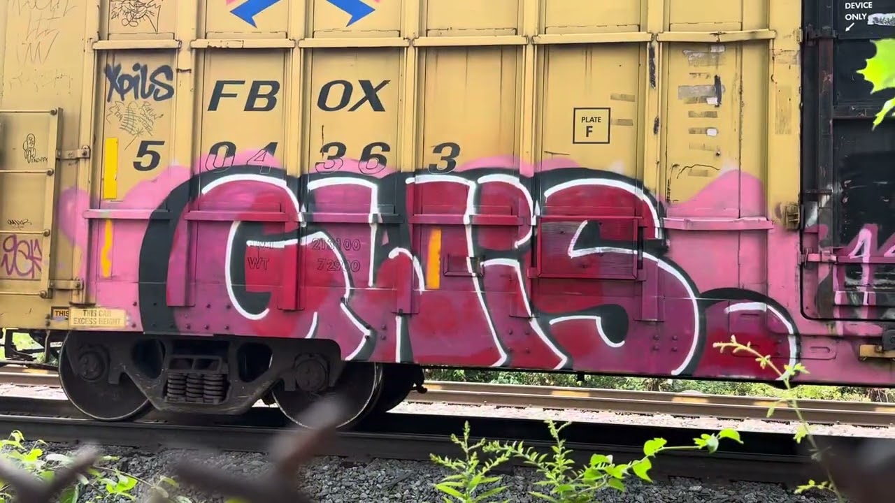 VGD graveyard bench 8/7/25 #traingraffiti #benchingtrains #graffiti #morrissey 