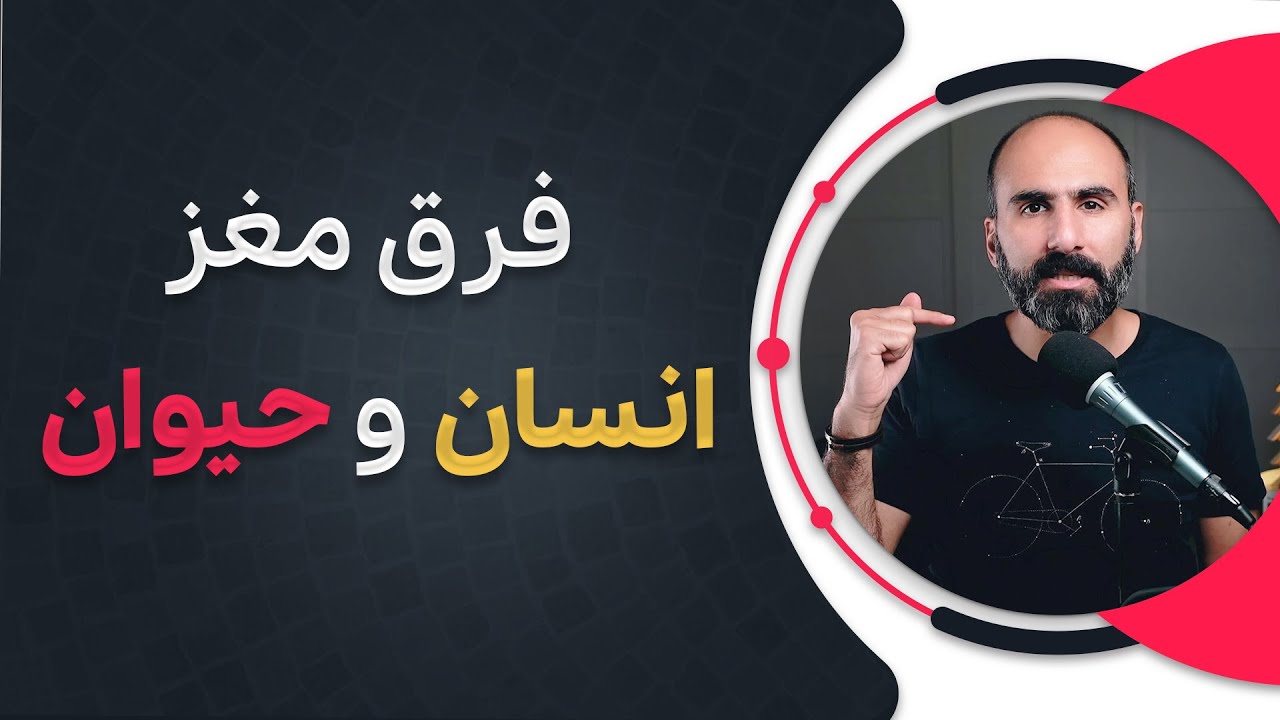 همه چیز در مورد رابطه احساسی ما با حیوانات. مغز موجودات زنده شبیه به همه؟