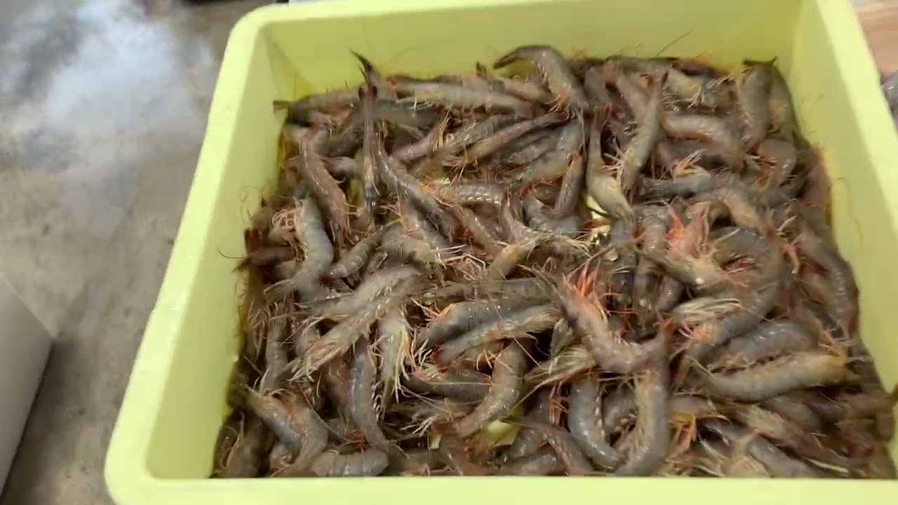 道の駅笠岡ベイファーム直売所　4／4