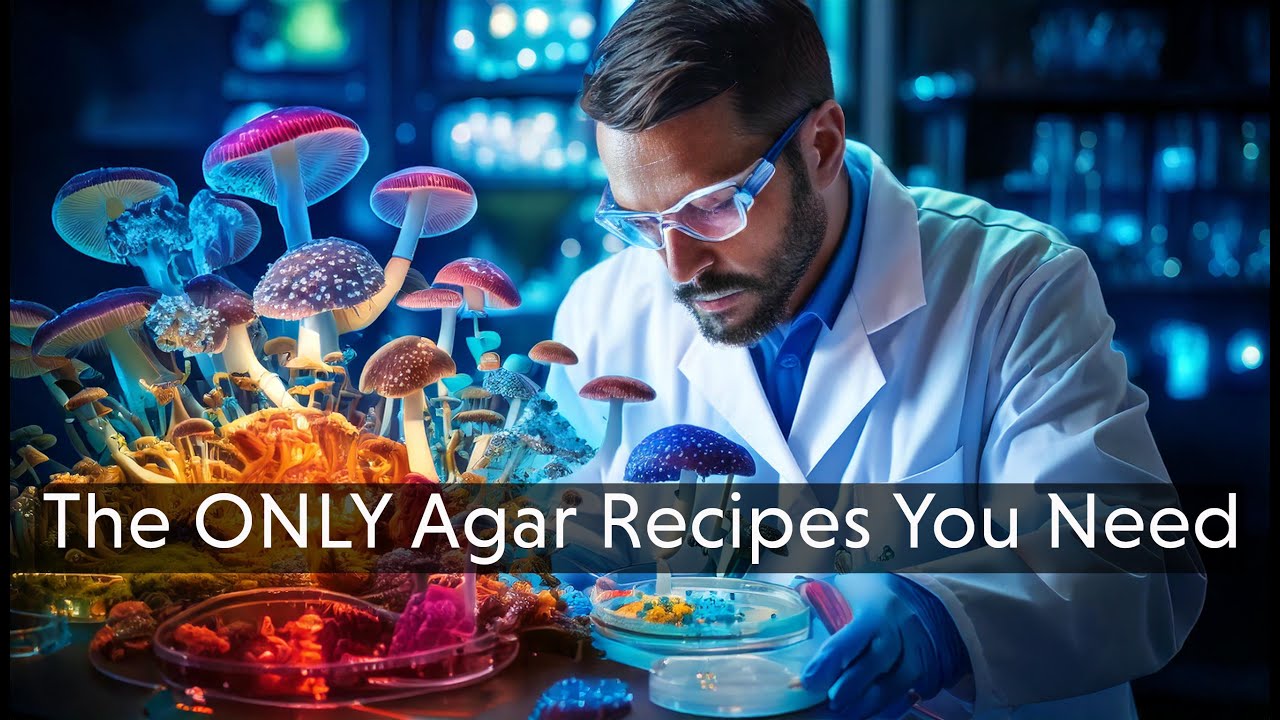 The ONLY Agar Recipes You’ll Ever Need for Mushroom Cultivation