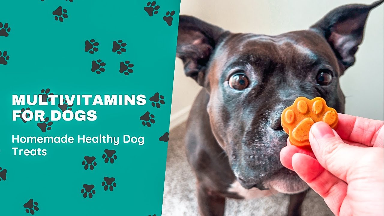 How To Make Multivitamin Gummy Dog Treats 🐾 Homemade DIY Healthy Dog Treats