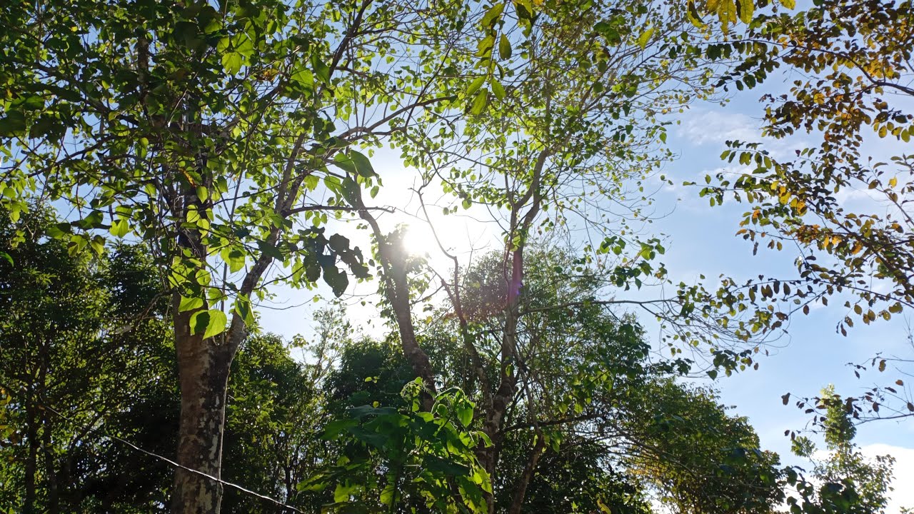 Good morning beautiful people_RISE and SHINE! Feb 21 SLS