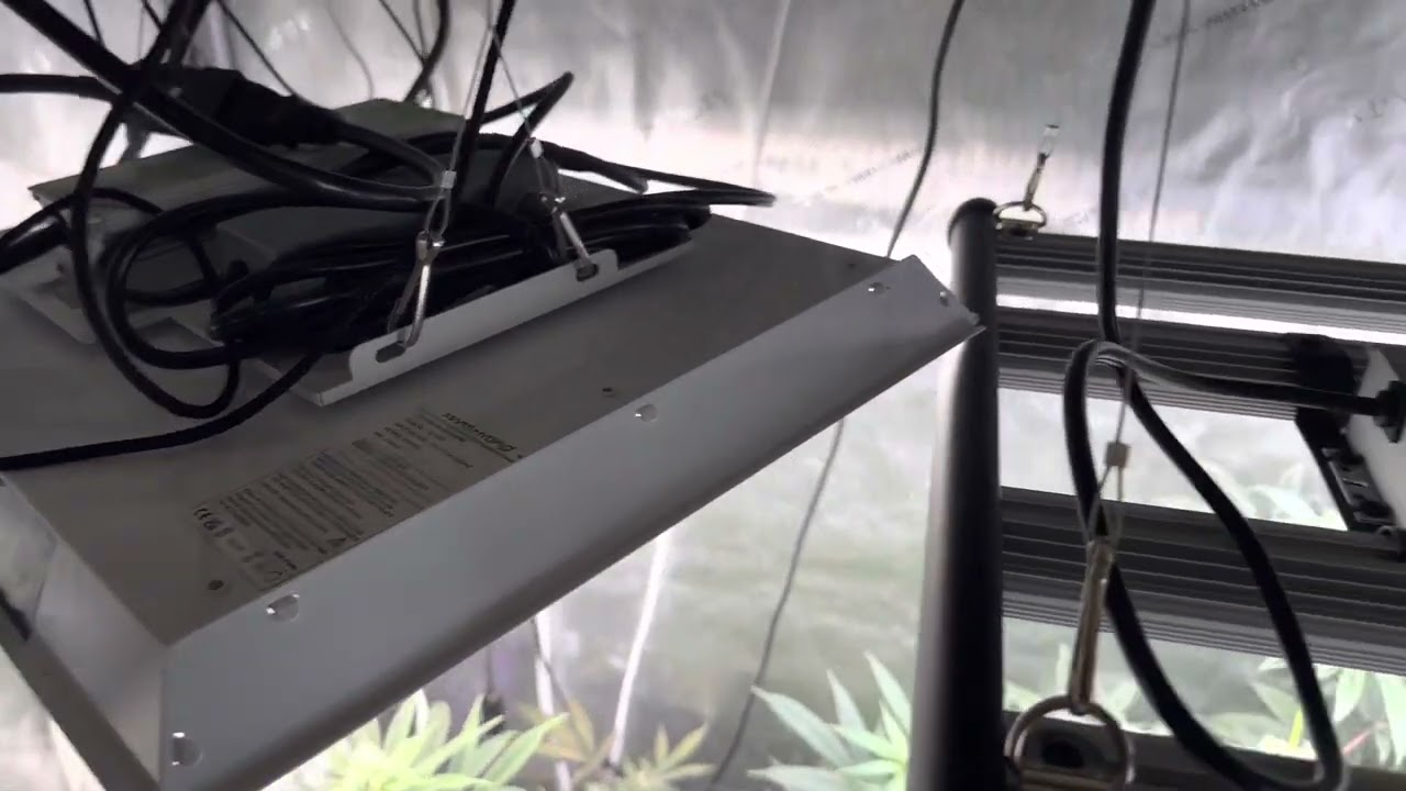 Is this THE BEST budget LED on the market??  Fahold 240w vs Mars Hydro 150w direct comparison