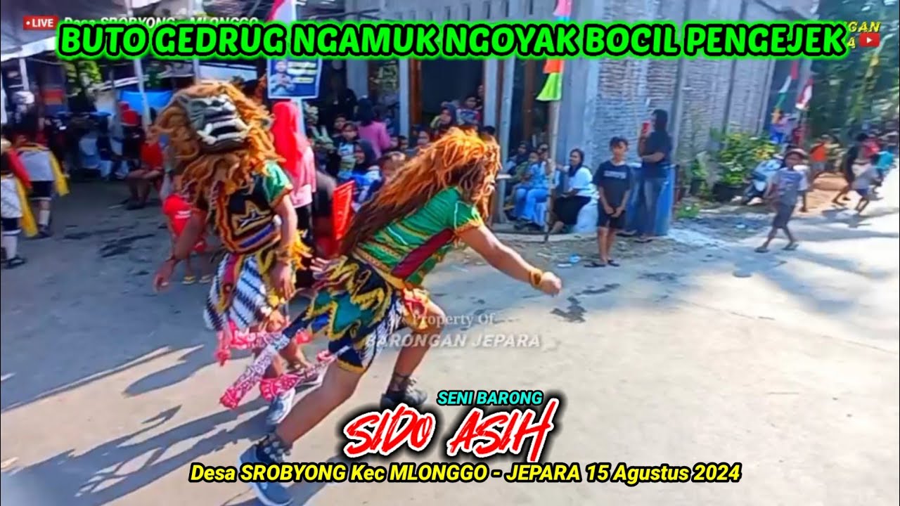 Buto Gedrug ngamuk ngoyak Bocil pengejek | SIDO ASIH Live Ds Srobyong kec Mlonggo | Barongan Jepara