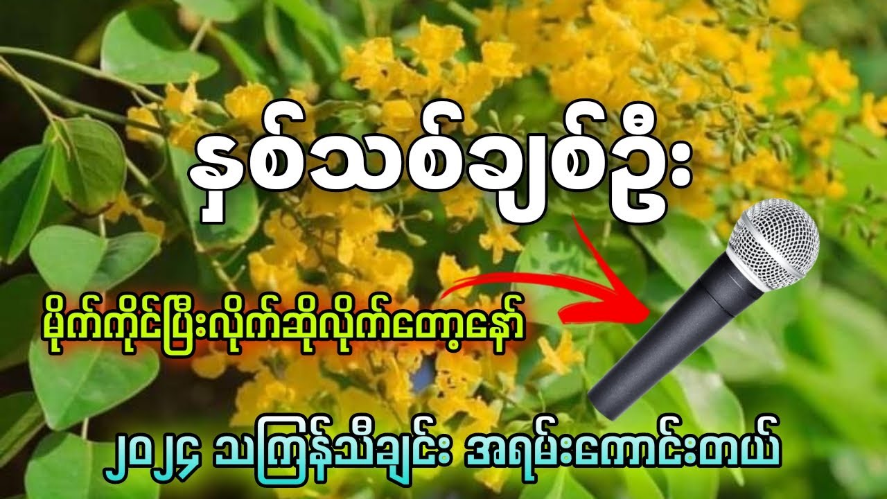 နှစ်သစ်ချစ်ဦး (karoake) မိုက်ကိုင်ပြီးလိုက်ဆိုလိုက်တော့ ✔