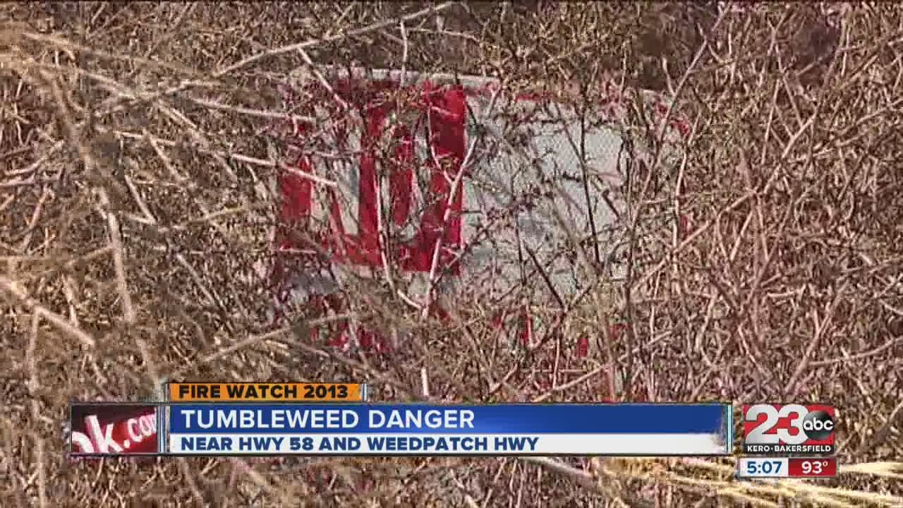 6-foot tall tumbleweeds are fire threat