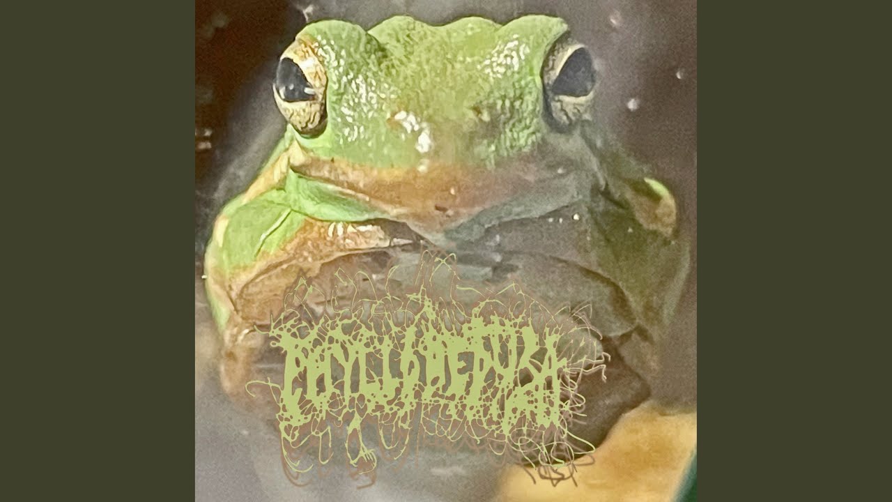 A Footwave to Opps (Hylodes Asper Semaphoring Ellipsoid Arc)